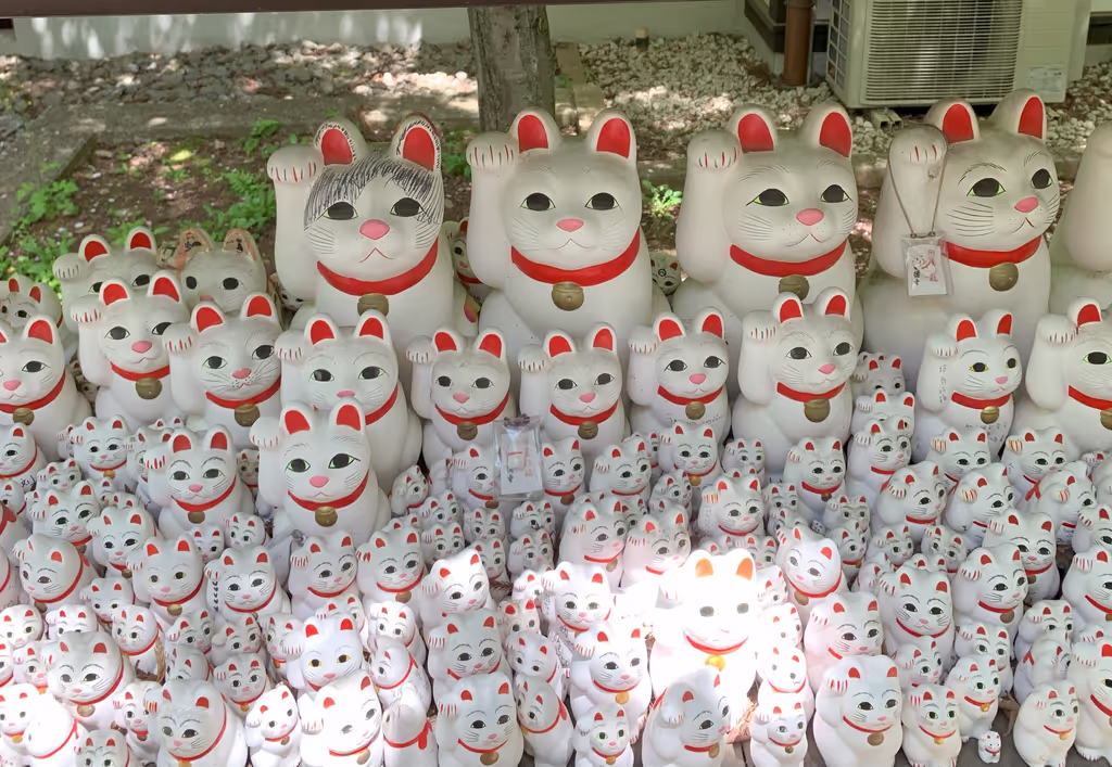 Tokyo Private Tour - Gotokuji temple