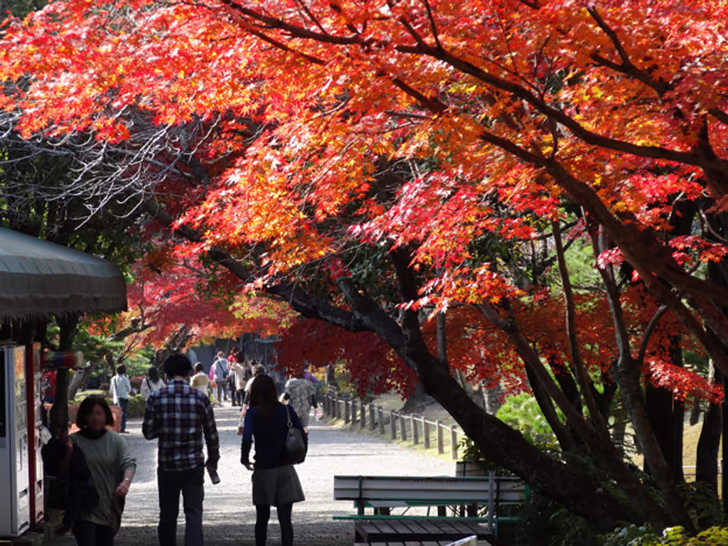 Fukuoka Private Tour - Suizenji Park