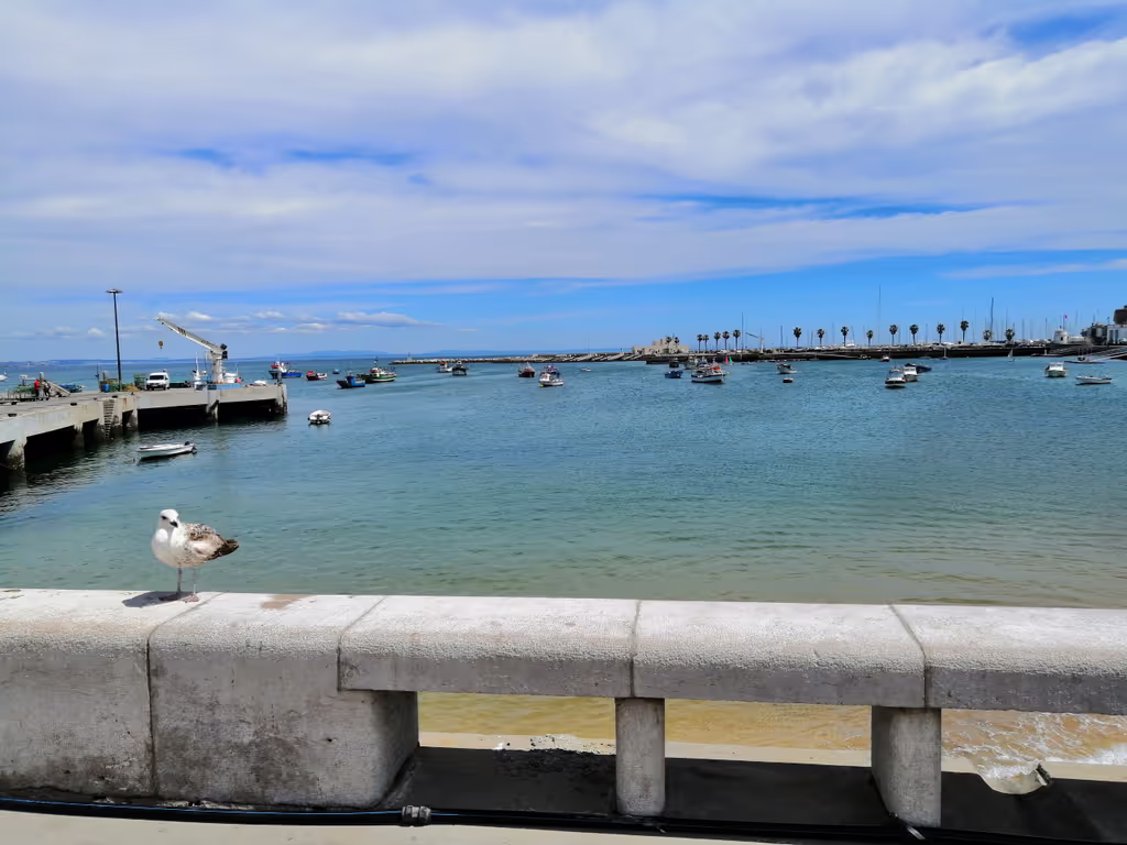 Lisbon Private Tour - Cascais Bay
