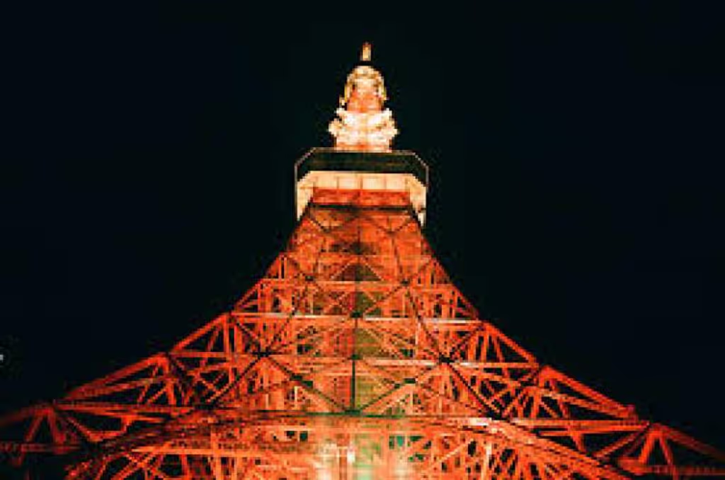 Tokyo Private Tour - Tokyo Tower with night lights.