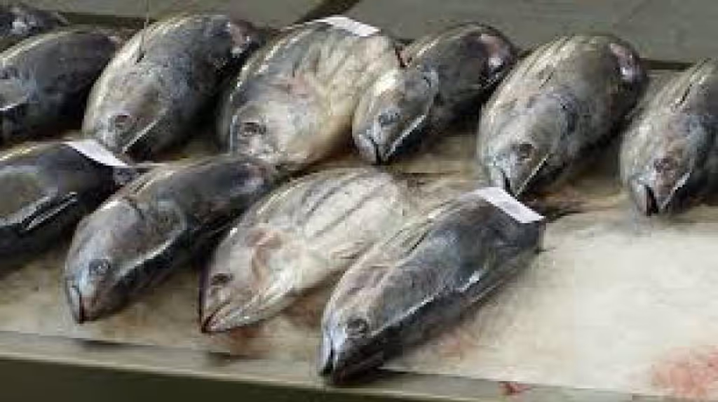 Tokyo Private Tour - Tuskiji Fish Market.