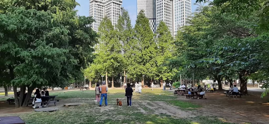 Seoul Private Tour - Seoul Forest
