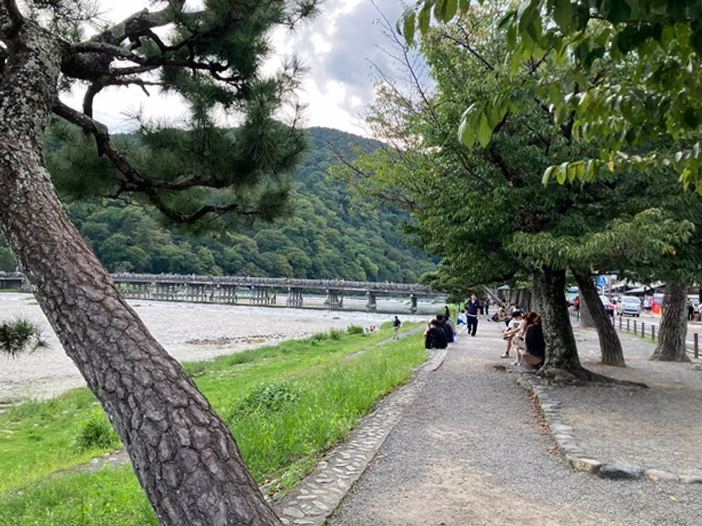 Kyoto Private Tour - Scenic Beauty at Arashiyama