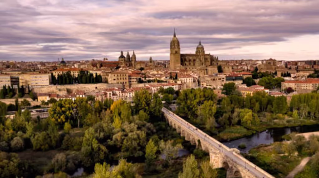 Madrid Private Tour - Salamanca