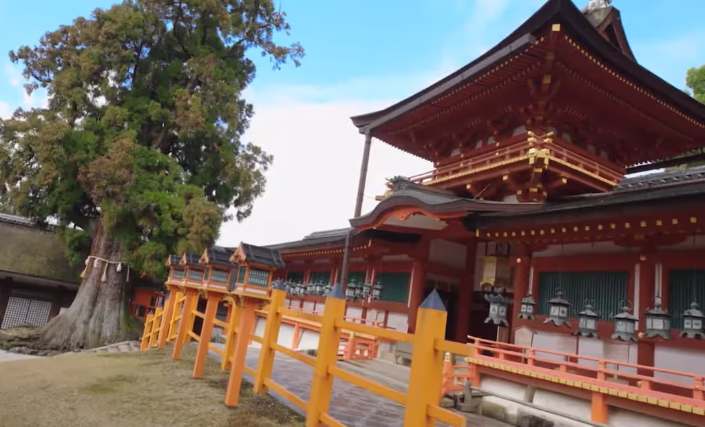 Nara Private Tour - Kasuga Taisha shrine, Nara city, Nara