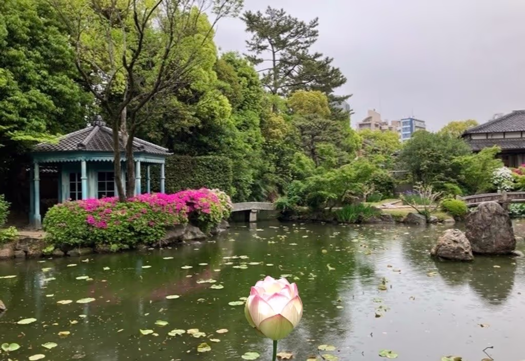 Osaka Private Tour - Lotus flower