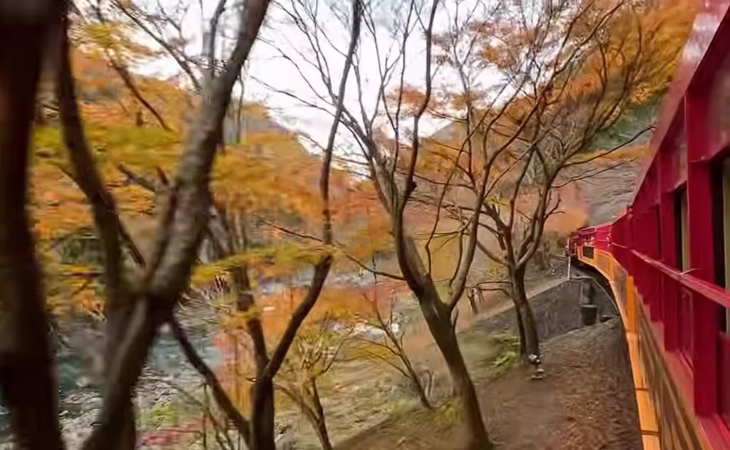 Kyoto Private Tour - A trolly runs along with Hozu-River, Kameoka