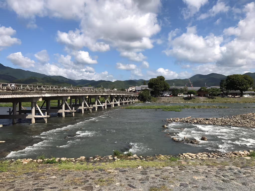 Kyoto Private Tour - Togetsu-Bridge, Arashiyama, Kyoto