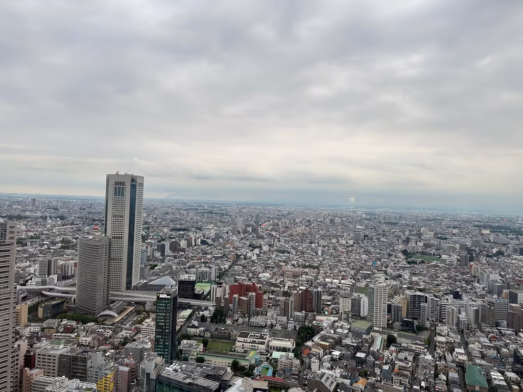 Tokyo Private Tour - Shinjuku