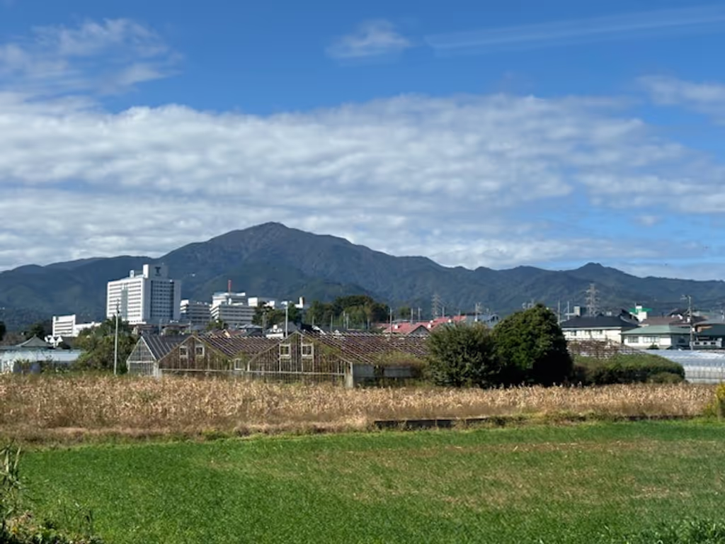 Kanagawa Private Tour - Mt.Oyama (from Odakyu line)