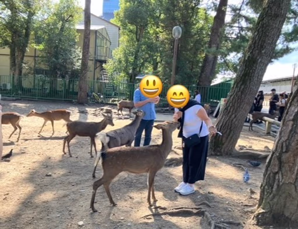 Nara Private Tour - Dear in Nara Park