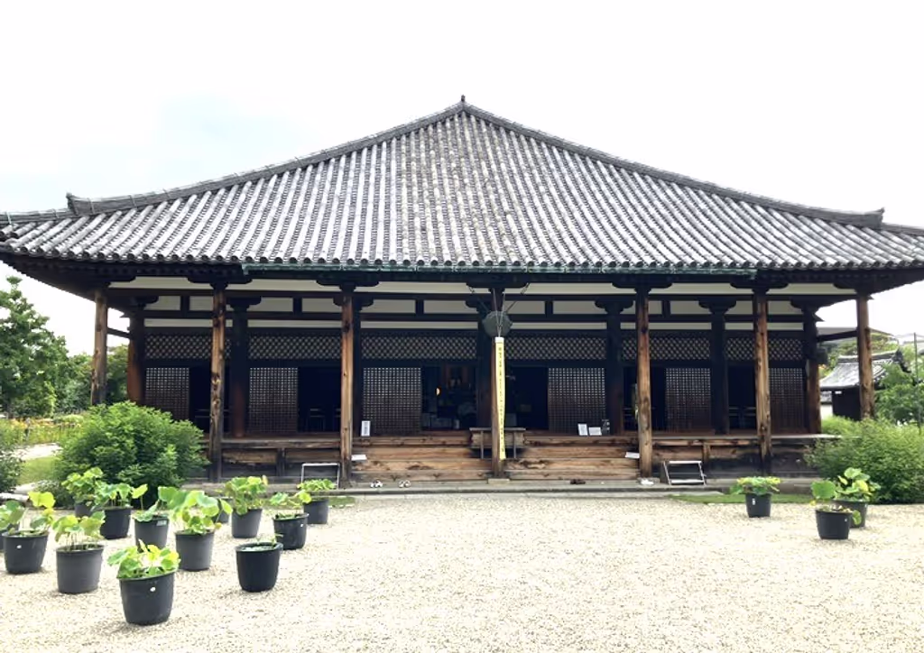 Nara Private Tour - Main Hall of Gangoji