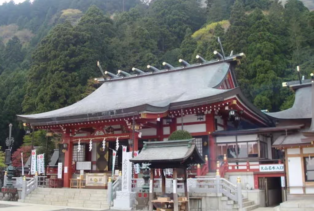 Kanagawa Private Tour - 