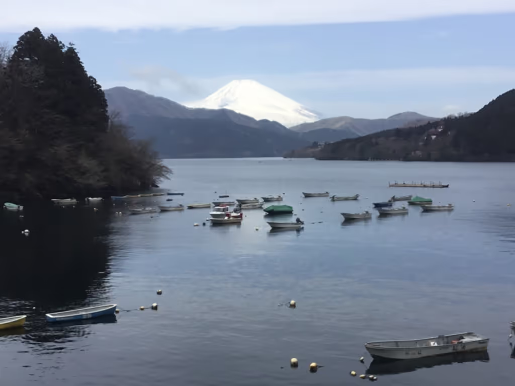 Hakone Private Tour - Vewing Ashinoko-lake, Hakone Shrine & Mt.Fuji if whether is fine