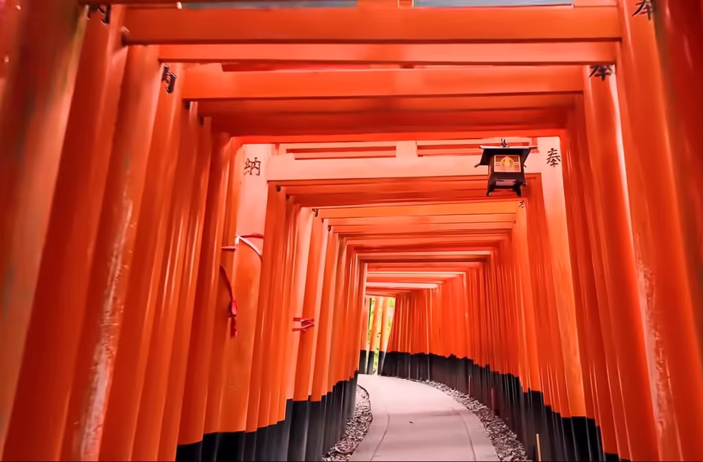 Kyoto Private Tour - Fushimi-Inari shrine, Kyoto city, Kyoto