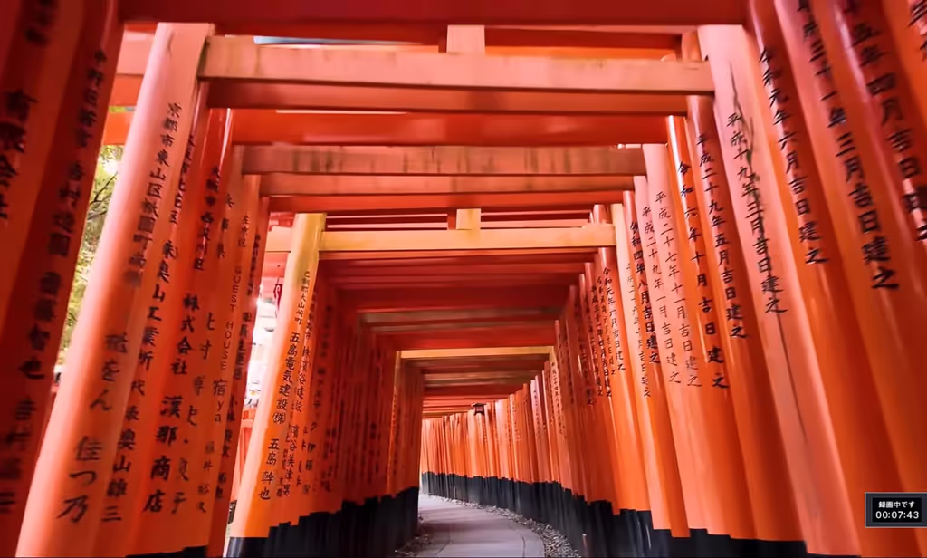 Kyoto Private Tour - Fushimi-Inari shrine, Kyoto city, Kyoto