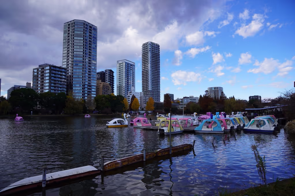 Tokyo Private Tour - 