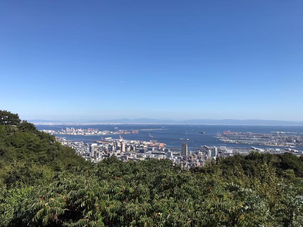 Kobe Private Tour - Looking Down over Kobe from Mt Rokko, Kobe