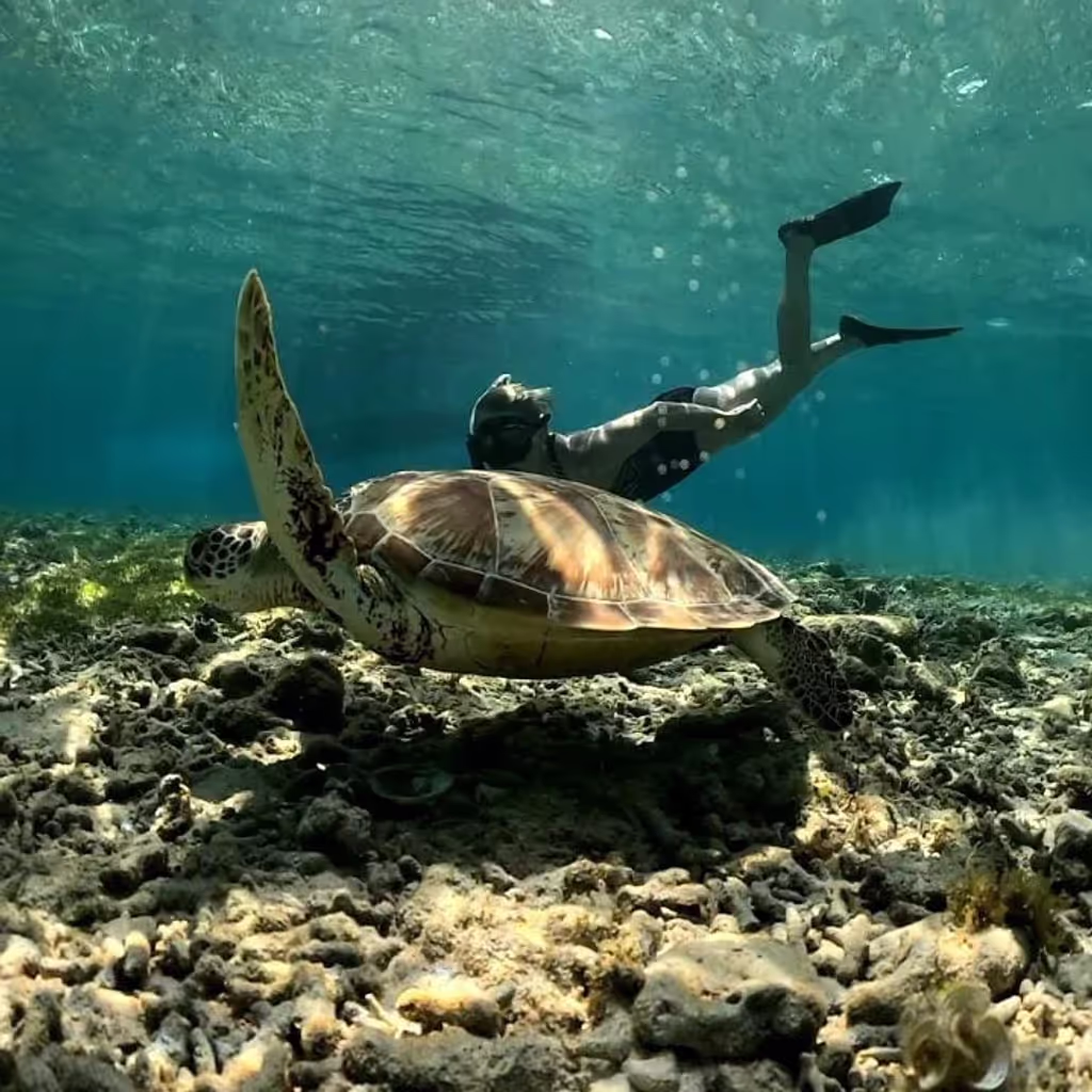 Lombok Private Tour - 