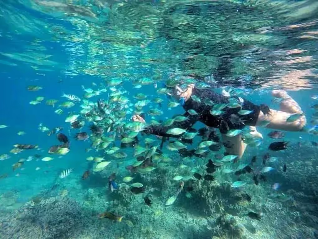 Lombok Private Tour - 