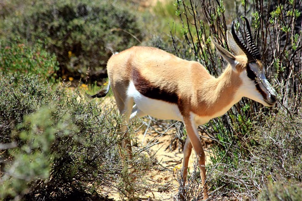 Nairobi Private Tour - 