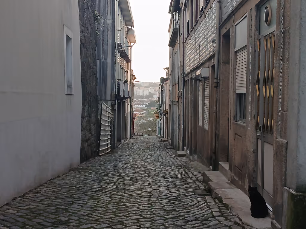 Porto Private Tour - Fontainhas District