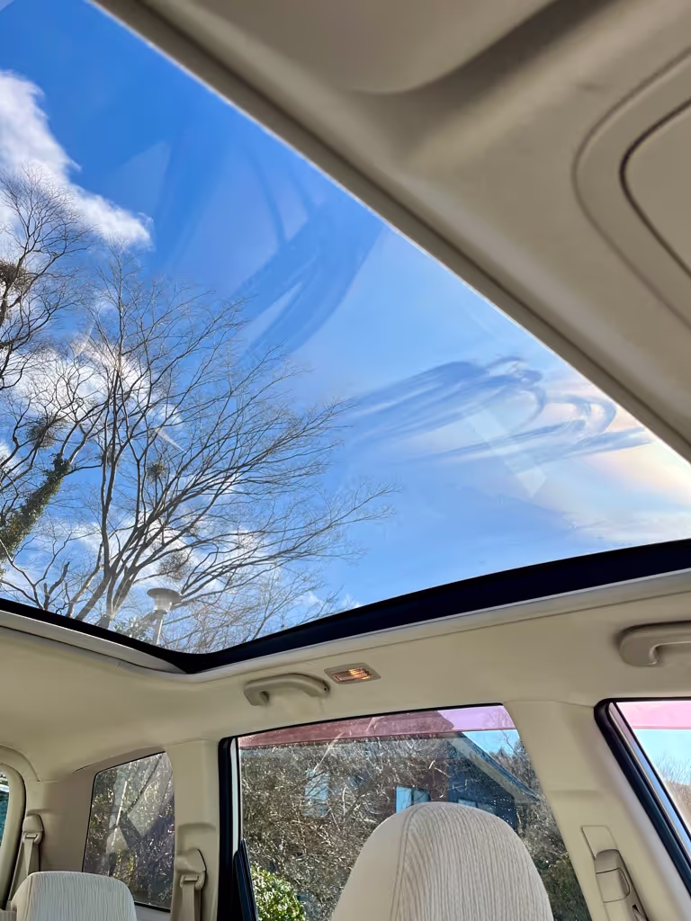 Tokyo Private Tour - Exiga Panoramic Roof