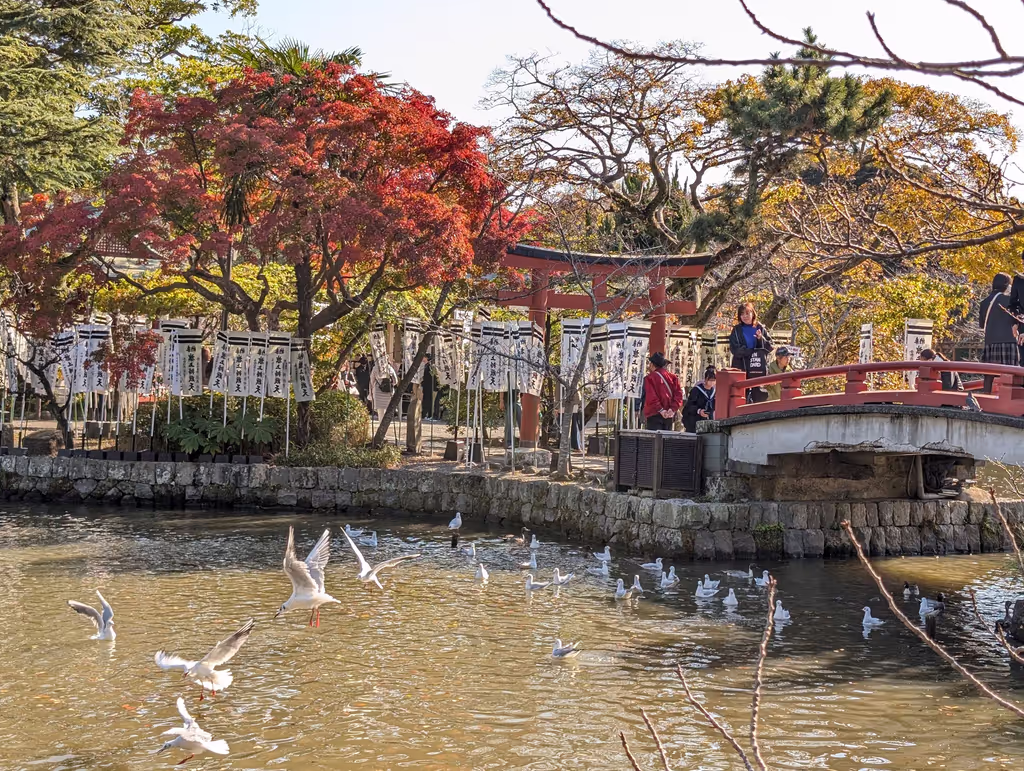 Kamakura Private Tour - Tsurumangu Shrine