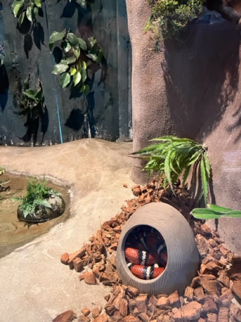 Bangkok Private Tour - Siam Serpentarium (Snack Farm)