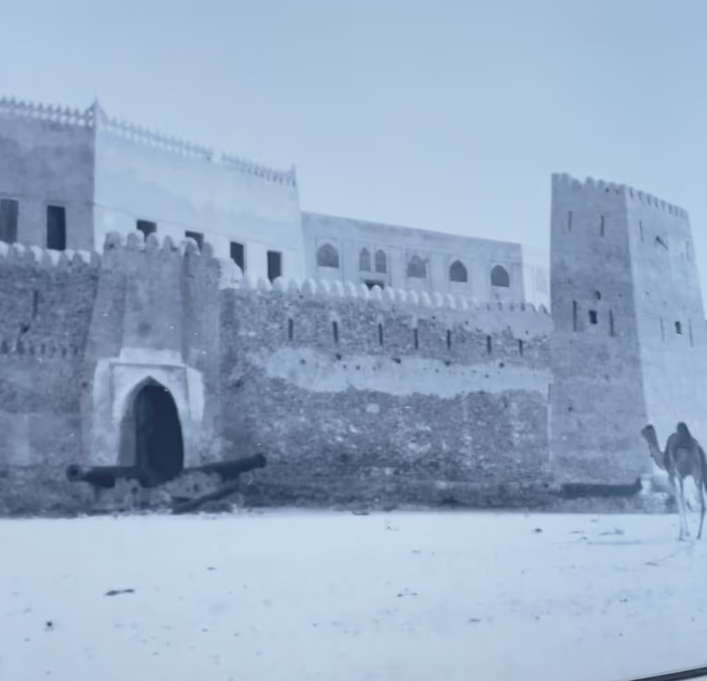 Al Ain Private Tour - 