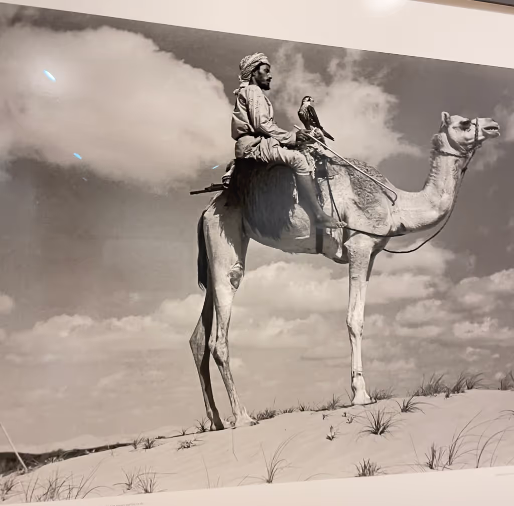 Al Ain Private Tour - 