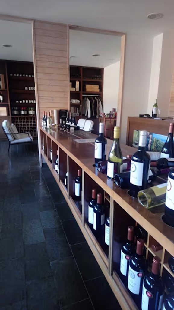 Santiago Private Tour - 