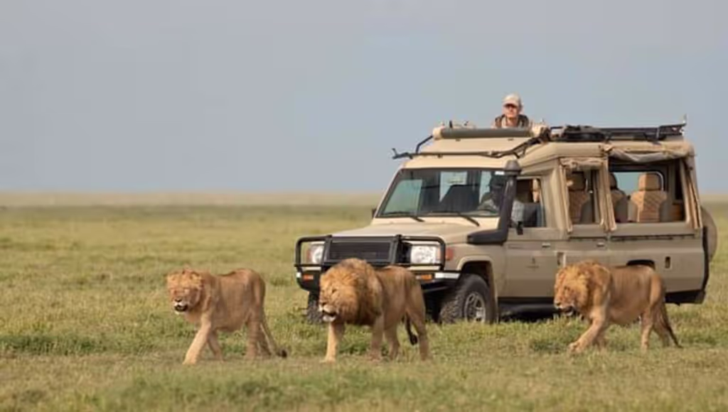 Nairobi Private Tour - 