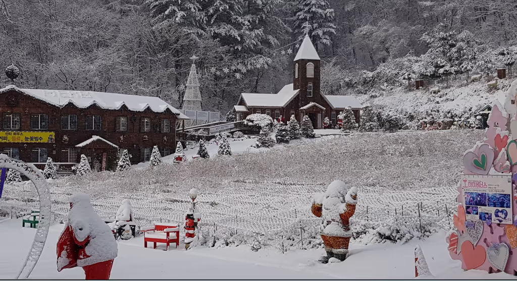 Seoul Private Tour - 