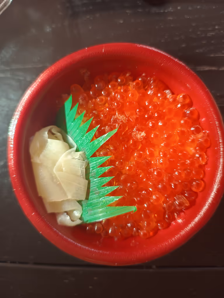 Tokyo Private Tour - Salmon bowl