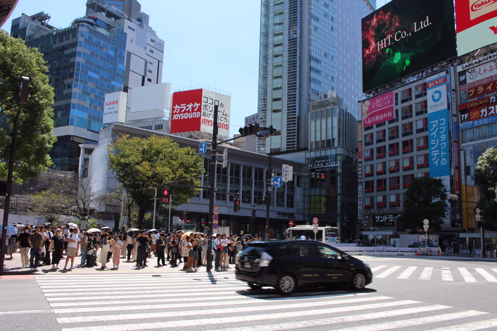 Tokyo Private Tour - Shibuya scramble crossing