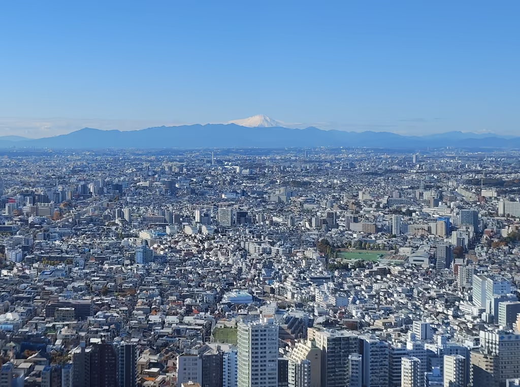 Tokyo Private Tour - Panorama view of Tokyo