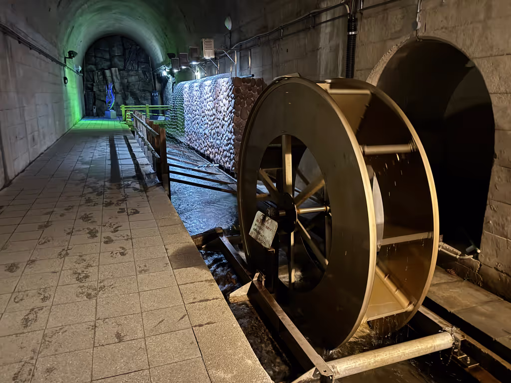 Fukuoka Private Tour - Takamori Spring Tunnel Park