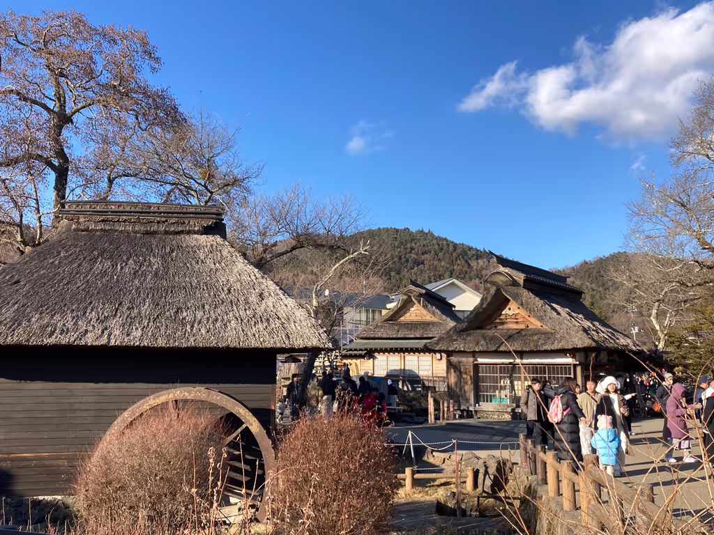 Tokyo Private Tour - Oshino Hakkai