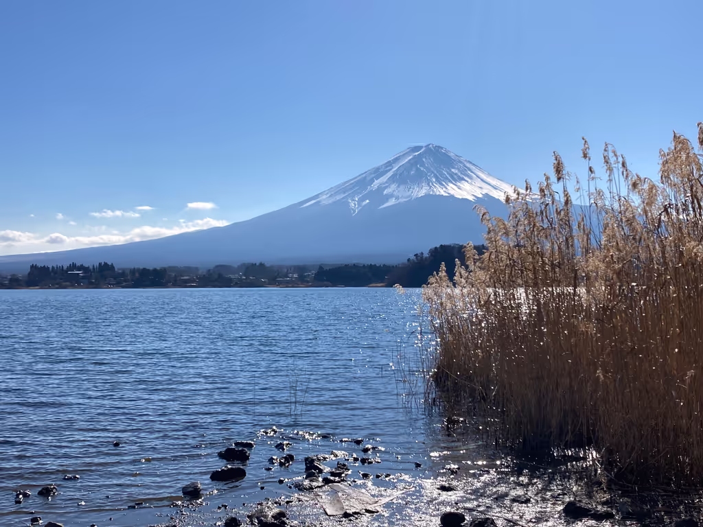 Tokyo Private Tour - Oishi park