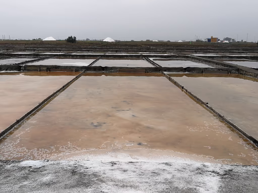 Lisbon Private Tour - Salt pans