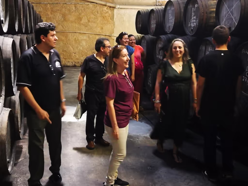Lisbon Private Tour - Winery