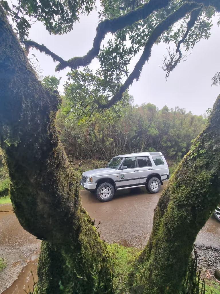 Madeira Private Tour - Fanal