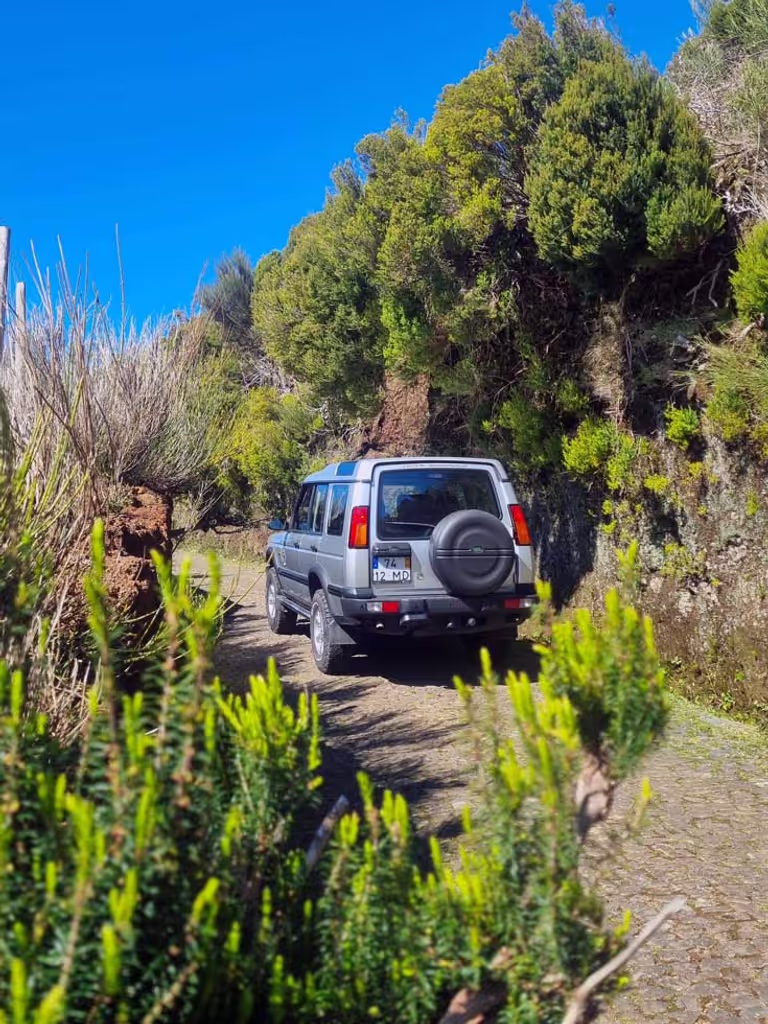 Madeira Private Tour - Old road