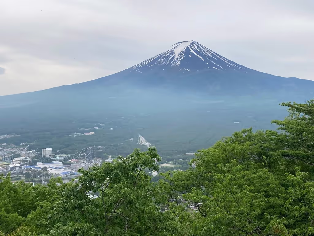 Tokyo Private Tour - Mount Fuji — the sacred symbol of Japan