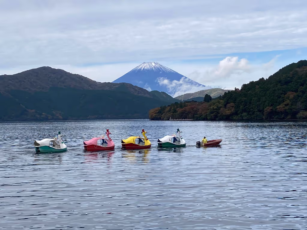Tokyo Private Tour - Every day, you'll meet every different Fuji!
