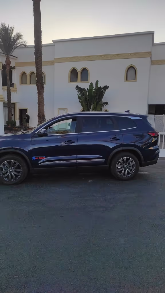 Sharm El-Sheikh Private Tour - cherry 2025 4 passengers