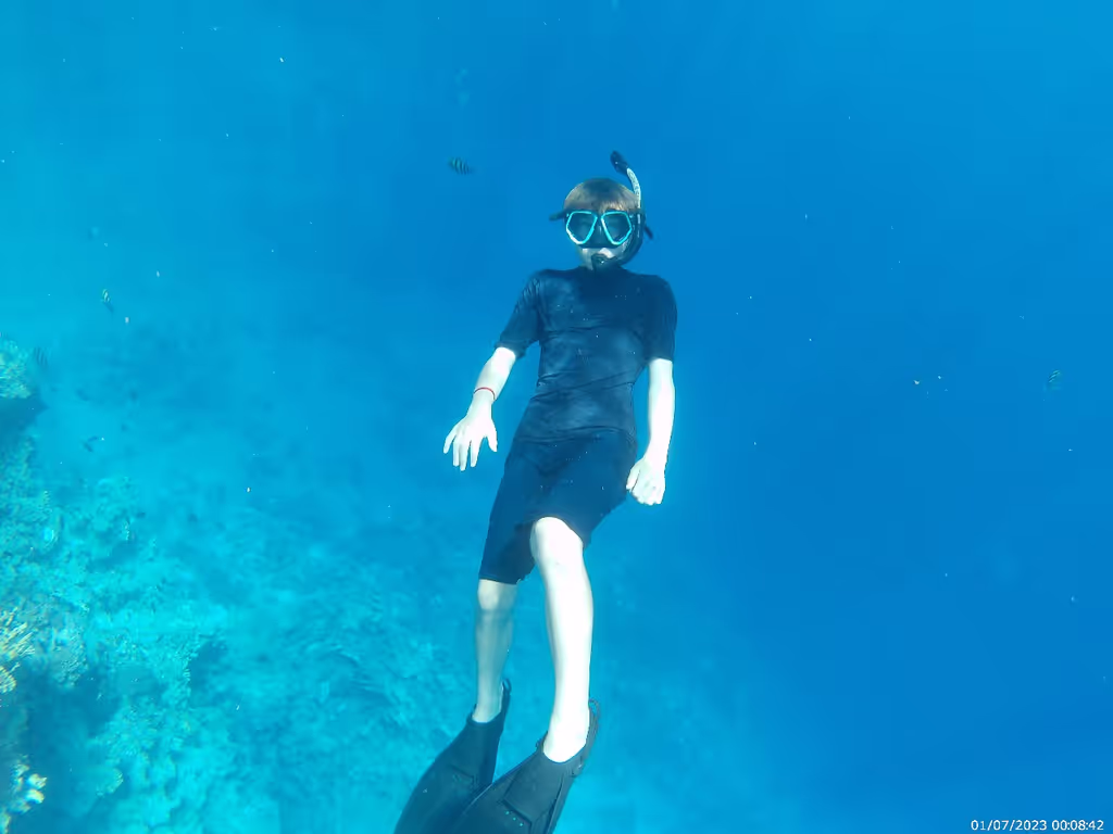 Sharm El-Sheikh Private Tour - snorkel