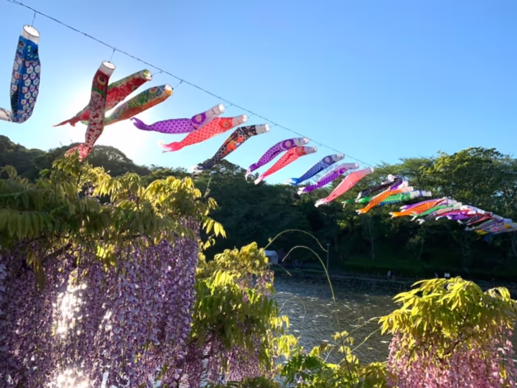 Shizuoka Private Tour - Rengegi Koinobori in May