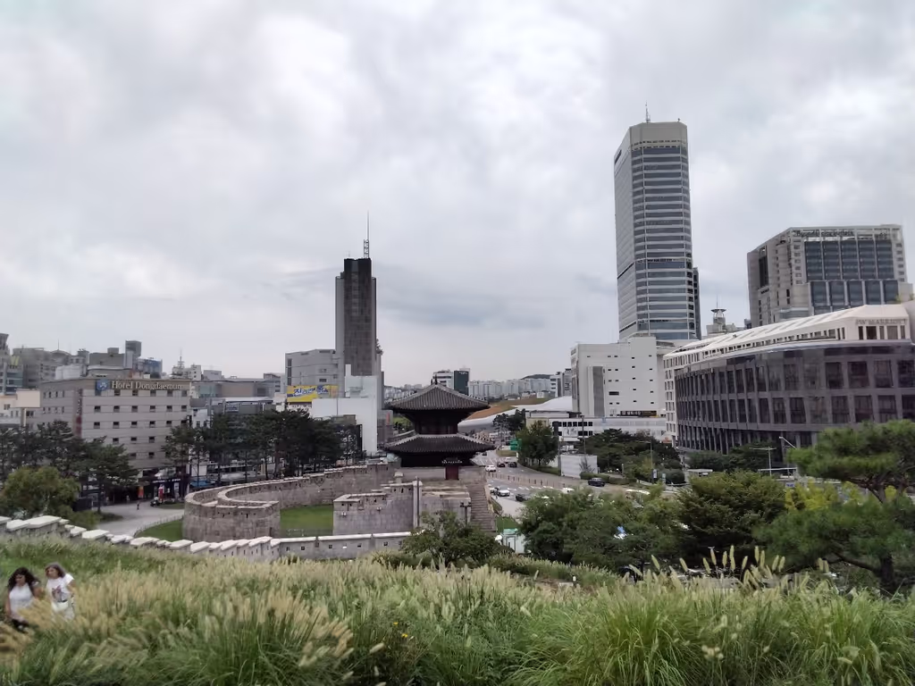 Seoul Private Tour - Old East gate
